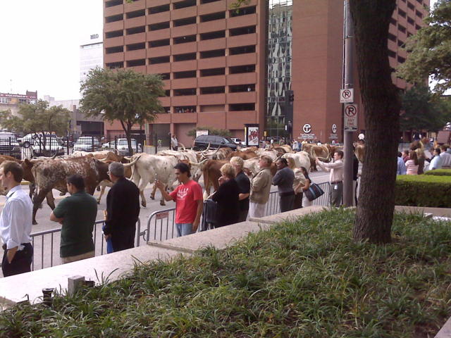 IMG00253.jpg -- State Fair herd run