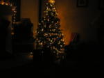 PC251989.JPG