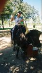 Jacob and Kathy enjoy posing with a real Texas longhorn at the Haynes and Boone company picnic