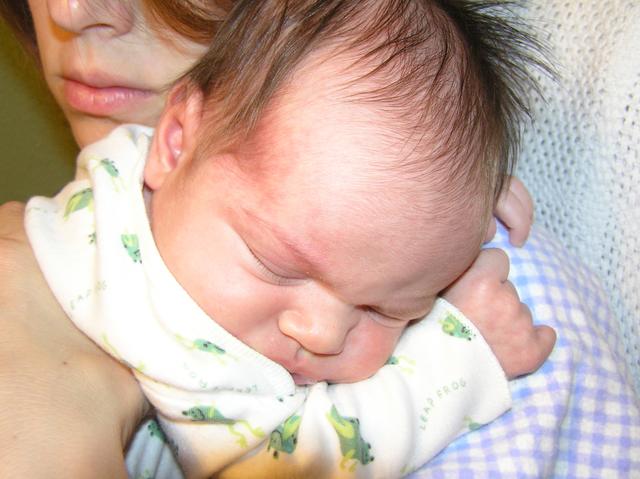 Lacy naps on Mom's shoulder