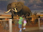 Highlight for Album: Summer Vacation 2007: Part Two, Cabela's