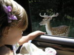 Highlight for Album: Summer Vacation 2007: Part Three, Fossil Rim