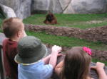 Highlight for Album: Summer Vacation 2007: Part Four, Fort Worth Zoo